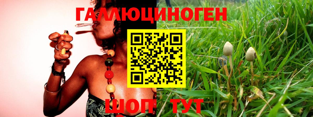 Гудермес  цена наркотик  Вход с VPN  Галлюциногенные грибы MAGIC MUSHROOMS 